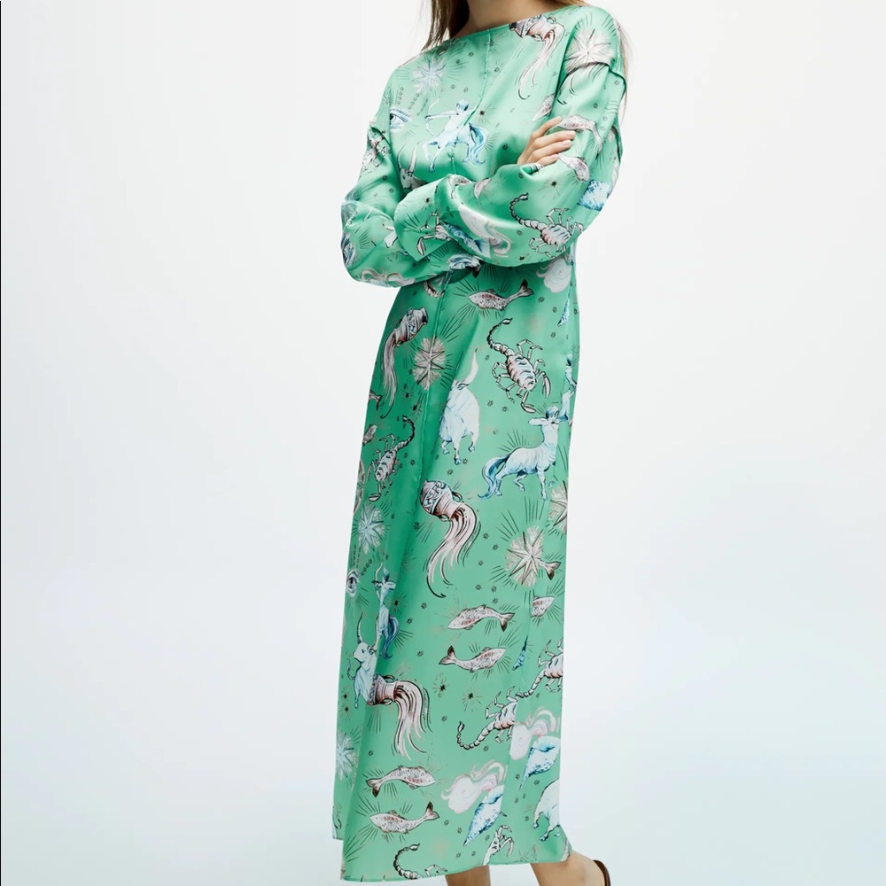 Zara LIMITED PRINTED DRESS Flowy Boatnk Midi Dress